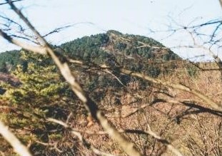 山麓から大岩山