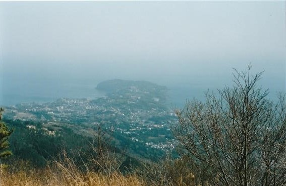 東屋から真鶴半島