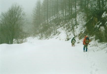 中津川林道雪道を下る