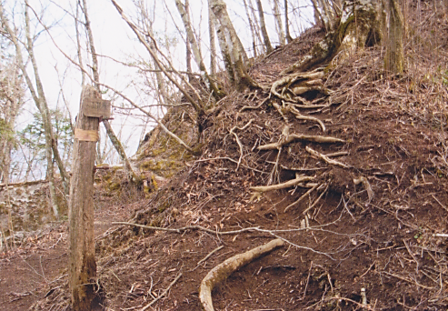 ここから山頂まで直角に急登