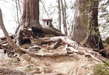 大天狗石碑が見える