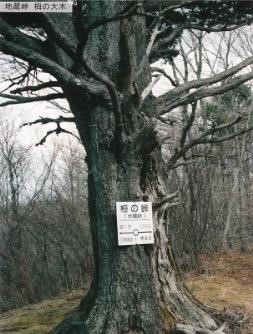 栂の峠