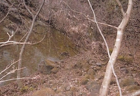 薮こぎで直滑降で下山した　　落石した岩石