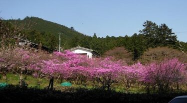 読図トレーニング向けの周助山（埼玉）