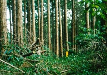 都幾山　山頂