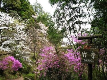 埼玉の３山でお花見登山を楽しむ～竹寺・楢抜山・大仁田山～（埼玉）