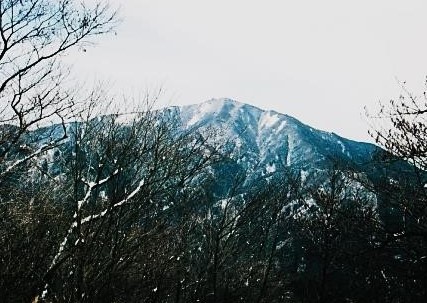 大きな山体の大山