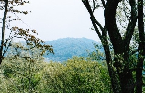 山頂～晃石山