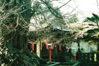 岩殿山・正法寺