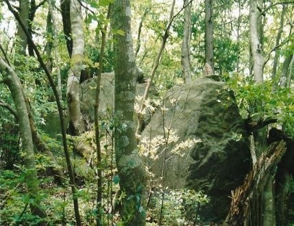 大岩が行く手を阻む　城跡の残骸 