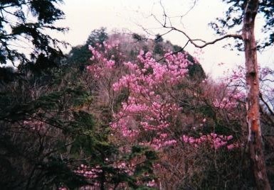 西剣ヶ峰を望む