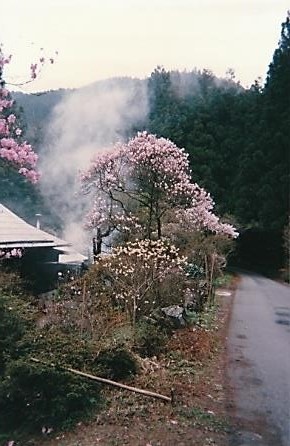 加蘇山神社登山口