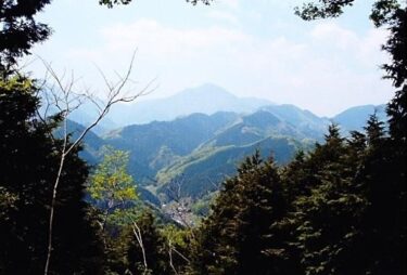 オオイヌノフグリの群生にも出会えた～峰山{峯山}～（神奈川）