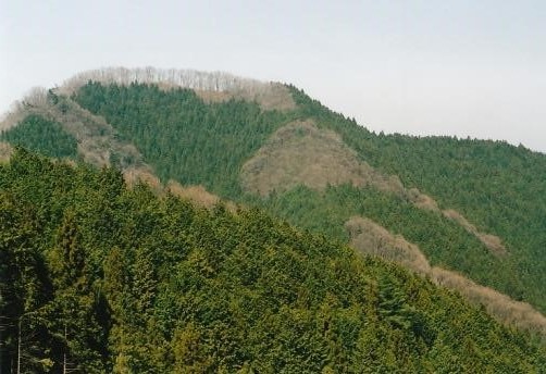 振り返れば今登った高水山