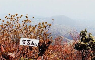 地元では○○山と呼ばれる矢筈山（静岡）