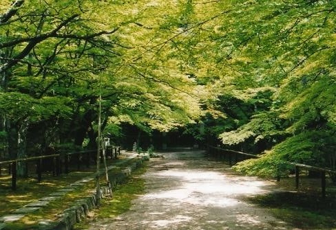 瓦屋寺境内