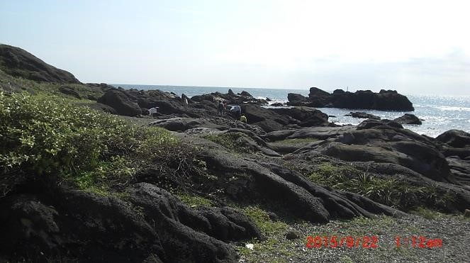 野島埼