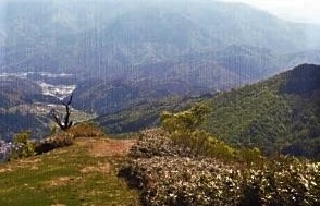 昨日登った妙見山