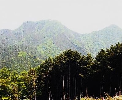 武川岳登山道～伊豆ヶ岳を望む