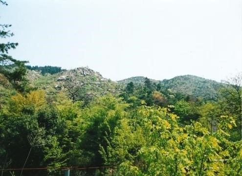 ㊧　田中山　　㊨　相場振山