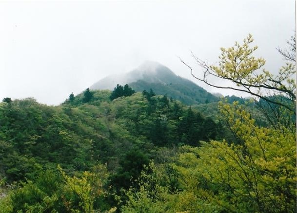 中腹～山頂を望む