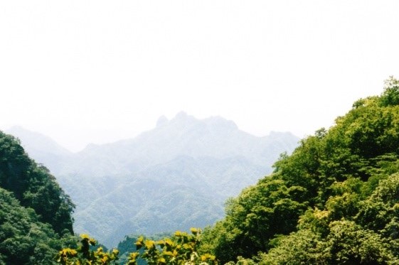 稲含山と鹿岳を望む