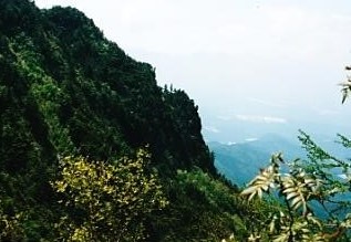 うだの沢のトミーから岩峰の山頂と川上村