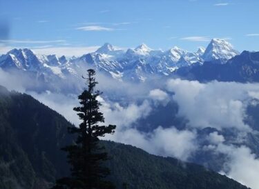 インド｜初めての海外登山ヒマラヤへ④