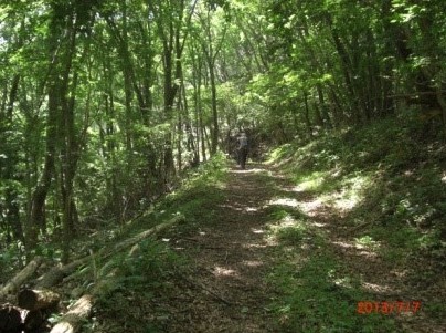 舗装も終り山道を行く