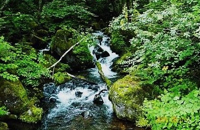 信州・八千穂高原・自然園｜飛竜の滝