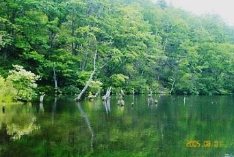 信州・八千穂高原・自然園｜遊亀湖