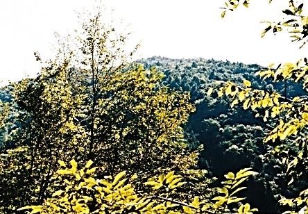 登山口~熊倉山