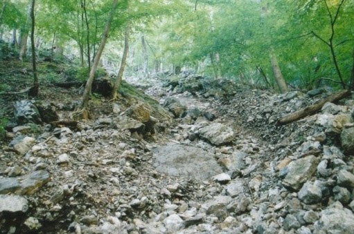 岩が押し流された枯沢