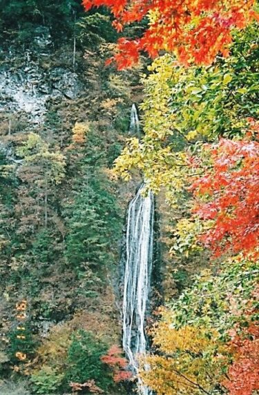 丸神の滝（埼玉）｜埼玉県内で唯一「日本の滝百選」に選定された名瀑