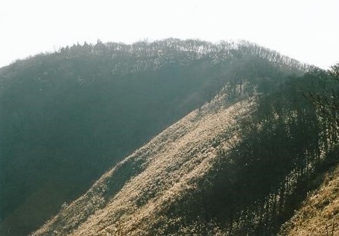 綿向山への気持の良い稜線