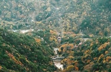 御在所山（滋賀・岐阜）｜ロープウェイがあって動植物の宝庫の２００名山