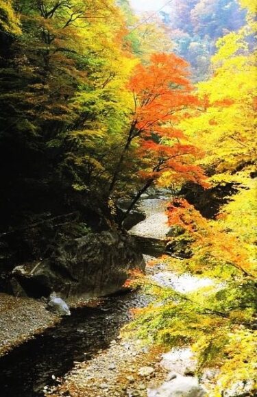 日本一の紅葉！？照葉峡（群馬）