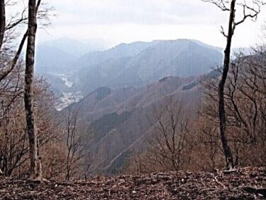 箒沢　権現山（神奈川）｜迷子に注意！西丹沢のマイナールートを行く