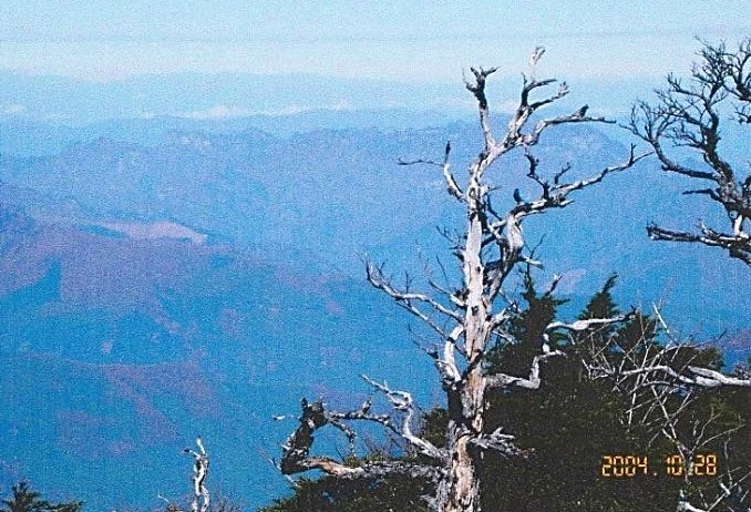 唐松尾岩峰から埼玉・長野の山々を望む