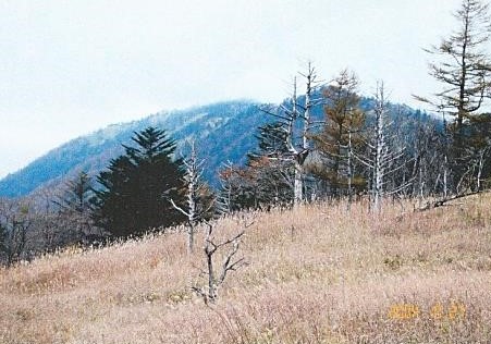 草紅葉の雁峠分岐