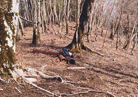 土管の多い山域だ