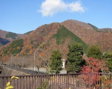 世附　権現山（神奈川）｜丹沢湖の北側にそびえる山