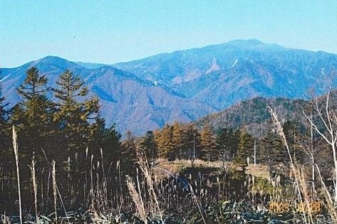 登山道から雁坂嶺