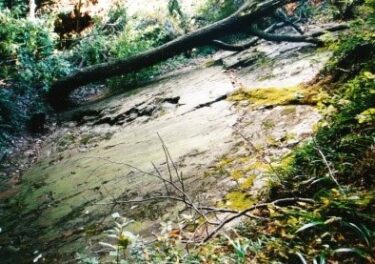 御嶽山（埼玉）｜お世話になっている方への感謝をこめて、困民党の足跡を辿る山旅