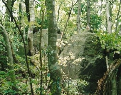 大岩が行く手を阻む　城跡の残骸