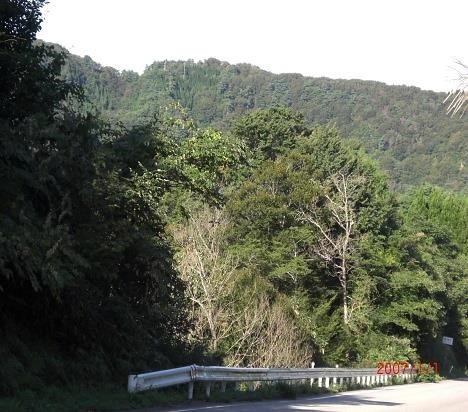 広域農道～望む　台地状の宝立山