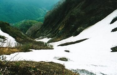 能郷白山（岐阜・福井）｜奥美濃にそびえる最高峰で高山植物を愉しむ