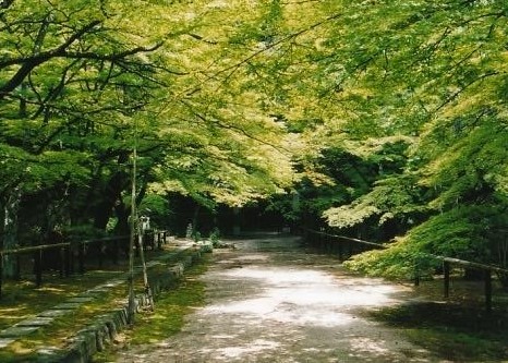 瓦屋寺境内