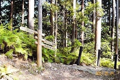 熊野古道から登山口