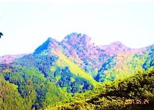 トサカ尾山岩峰を望む
